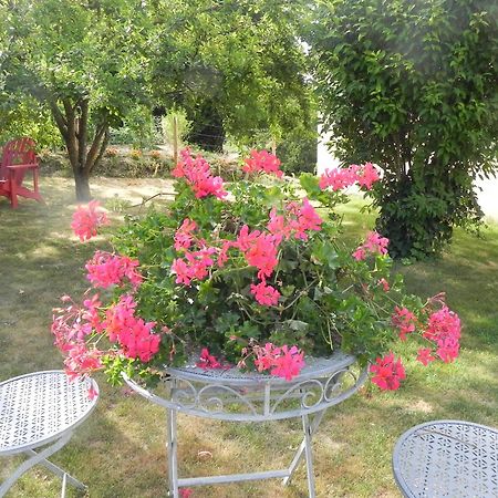 Les Patis Bed and Breakfast Vouvray Eksteriør billede